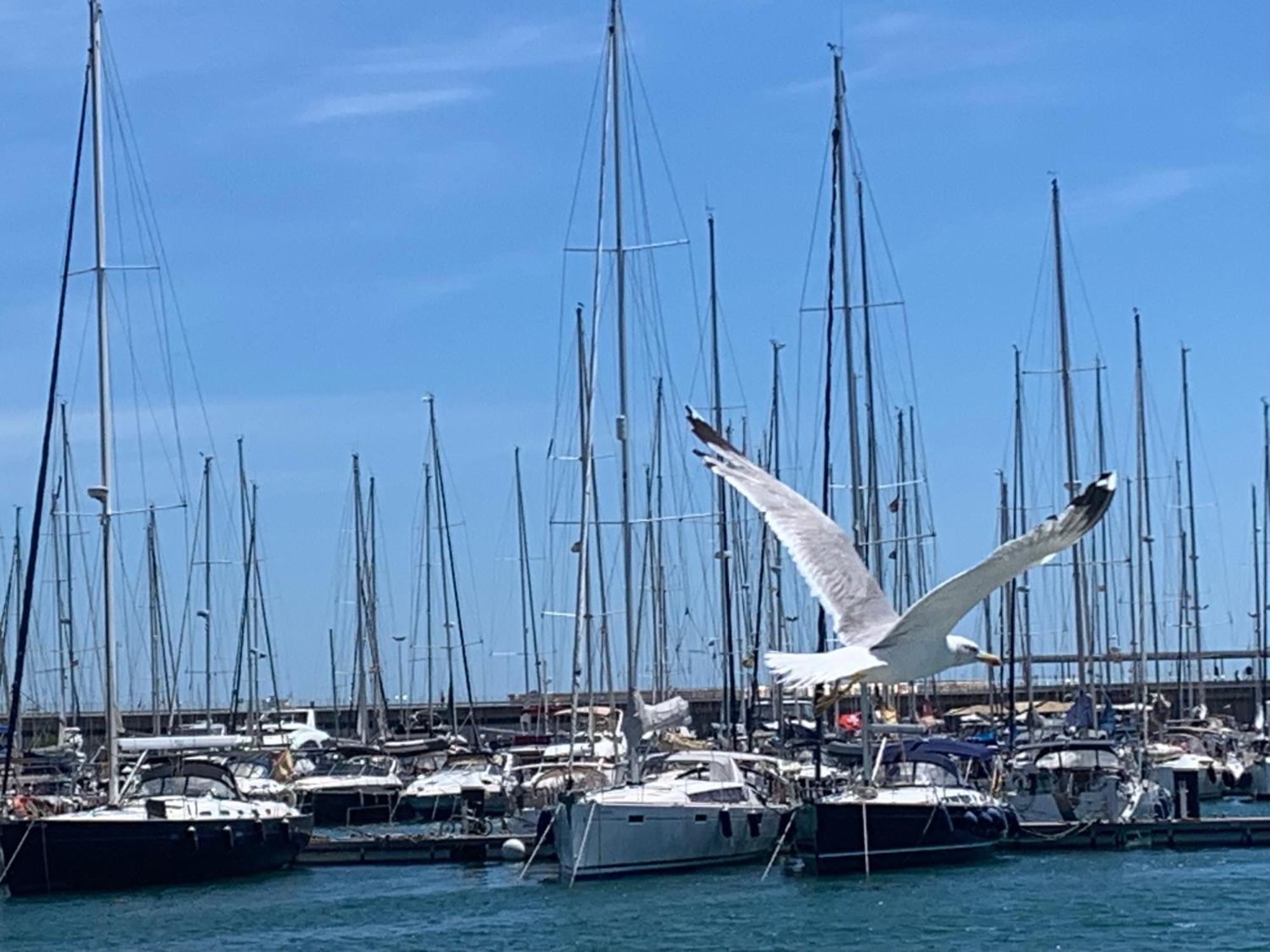 Master&Commander Hotel Valencia Buitenkant foto